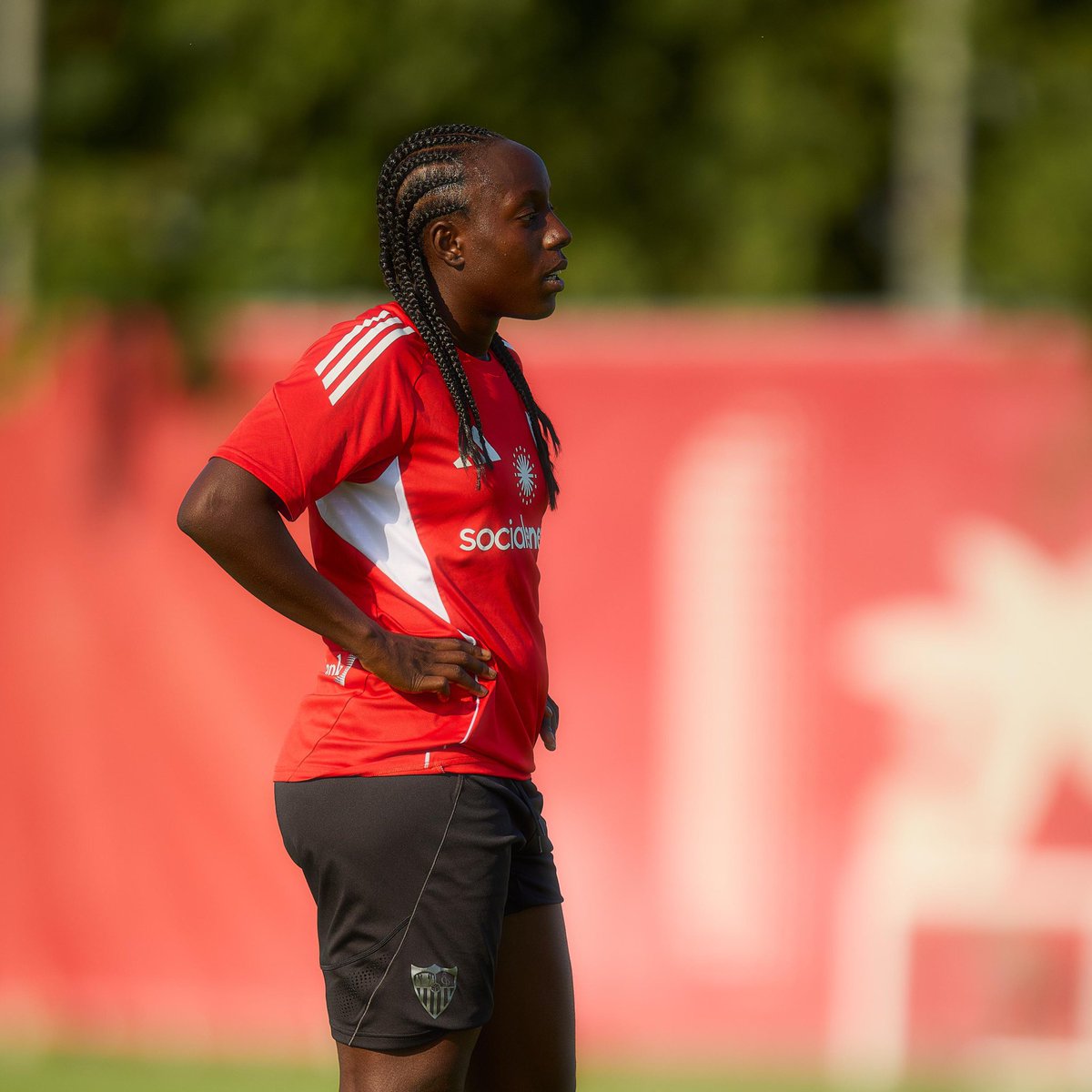 Sevilla FC Femenino tweet media