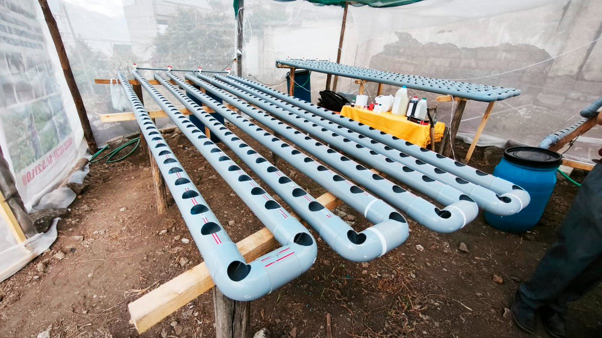 #AhoraFONDEP En la IE San Francisco Solano (Tamburco, Abancay), autoridades conocieron el proyecto de hidroponía que, con 130 estudiantes, reduce 💧 el consumo de agua en 30%, produce 🌱 180 plantas/ciclo y reutiliza materiales reciclados. ♻ #CNPIE2025 #EducaciónQueTransforma