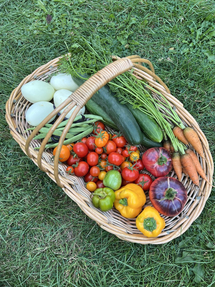 garden haul👩🏻‍🌾💚
