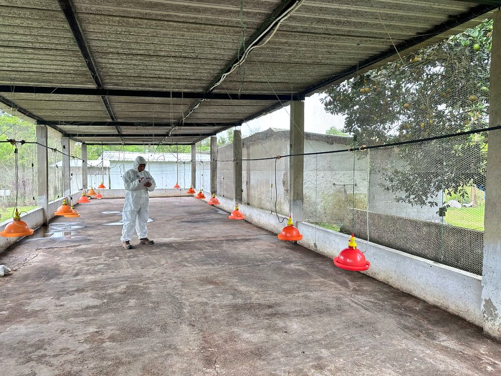 ABG_galapagos's tweet photo. Equipo de vigilancia zoosanitario de #Isabela, realizó la inspección del vacío sanitario de los galpones para la producción de pollitos.
Con el fin de disminuir el riesgo de transmisión de enfermedades en granjas avícolas, se verifica el cumplimiento de la normativa vigente. https://t.co/Ihctq4N5aE