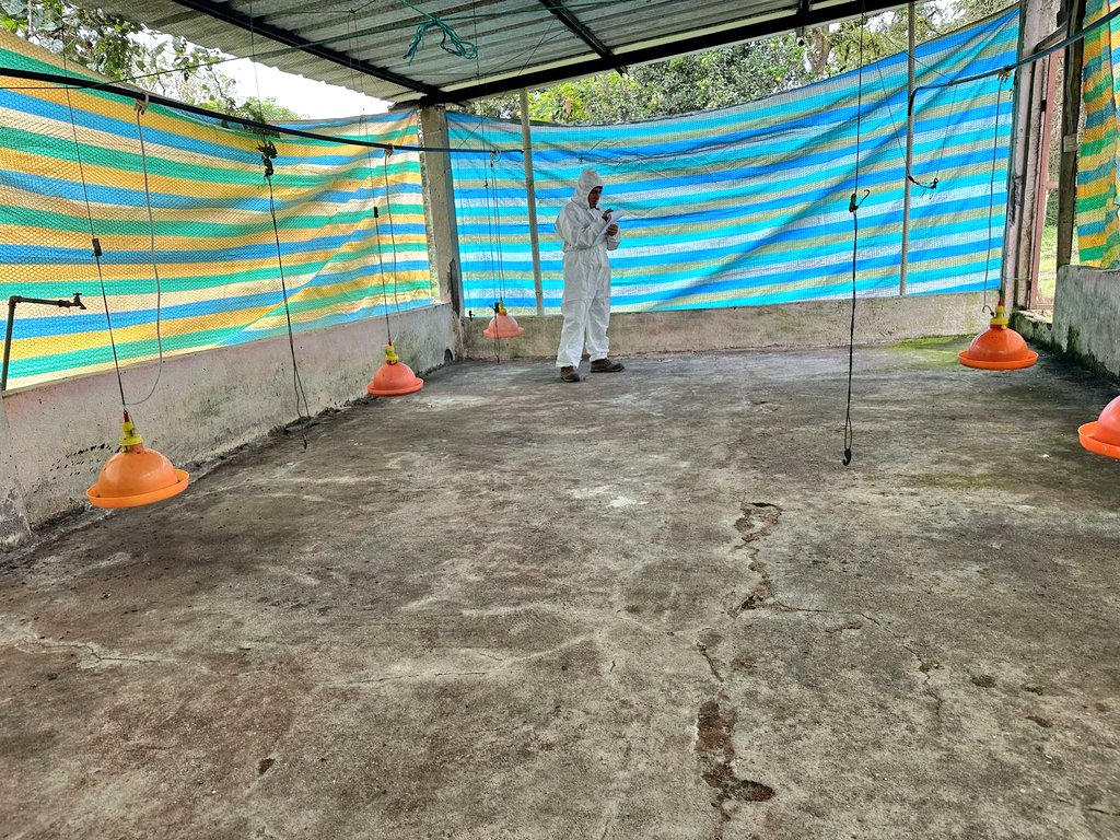 ABG_galapagos's tweet photo. Equipo de vigilancia zoosanitario de #Isabela, realizó la inspección del vacío sanitario de los galpones para la producción de pollitos.
Con el fin de disminuir el riesgo de transmisión de enfermedades en granjas avícolas, se verifica el cumplimiento de la normativa vigente. https://t.co/Ihctq4N5aE