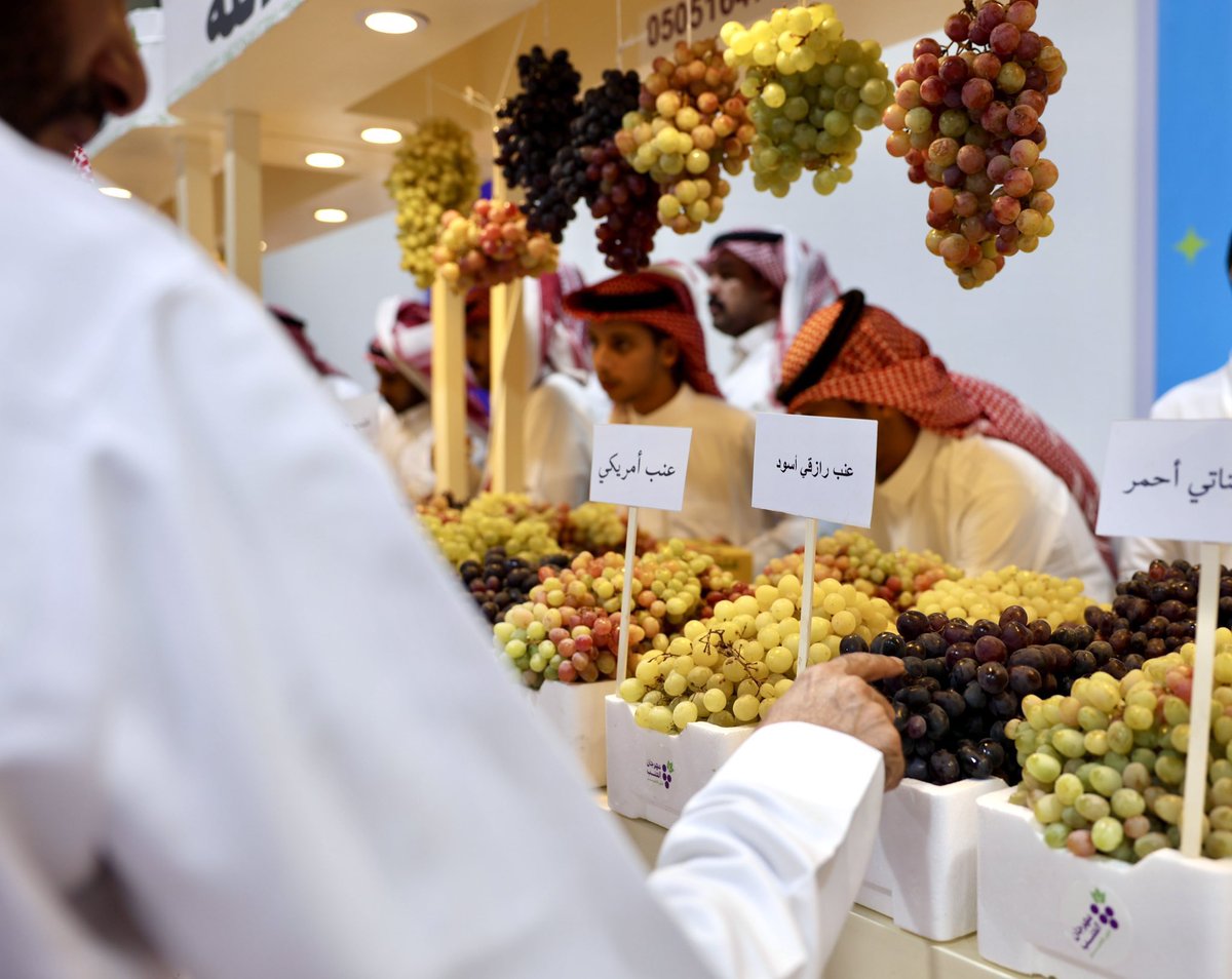 imarat_almadina's tweet photo. مهرجان العنب الأول بمركز النخيل في #المدينة_المنورة، نافذة للتعريف بجودة العنب المحلي، ودعم المزارعين بما يعكس تنوّع الإنتاج وابتكار أساليب عرضه.

📸/ حمود العتيق https://t.co/D11gw9siEB