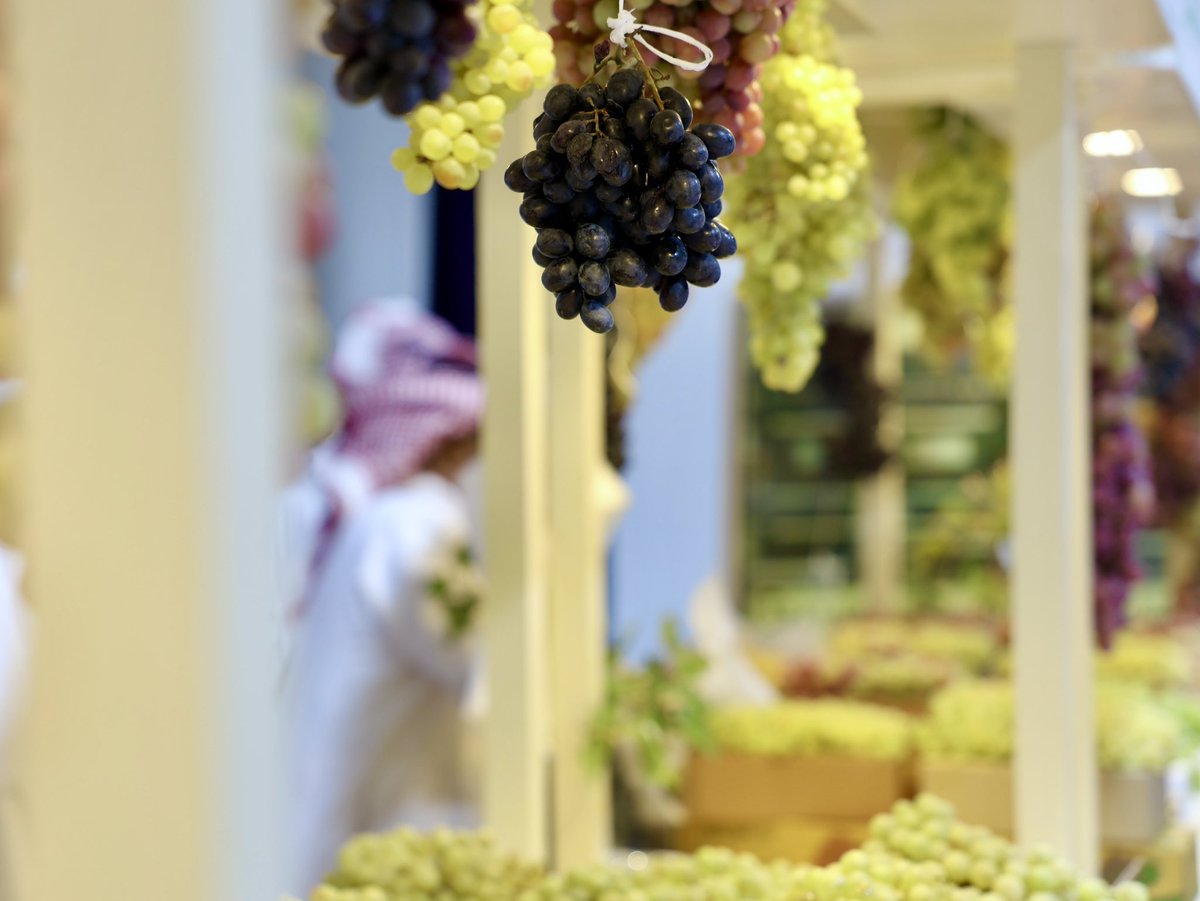 imarat_almadina's tweet photo. مهرجان العنب الأول بمركز النخيل في #المدينة_المنورة، نافذة للتعريف بجودة العنب المحلي، ودعم المزارعين بما يعكس تنوّع الإنتاج وابتكار أساليب عرضه.

📸/ حمود العتيق https://t.co/D11gw9siEB