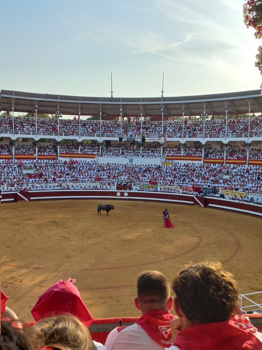 Alexis Gonzalez tweet media