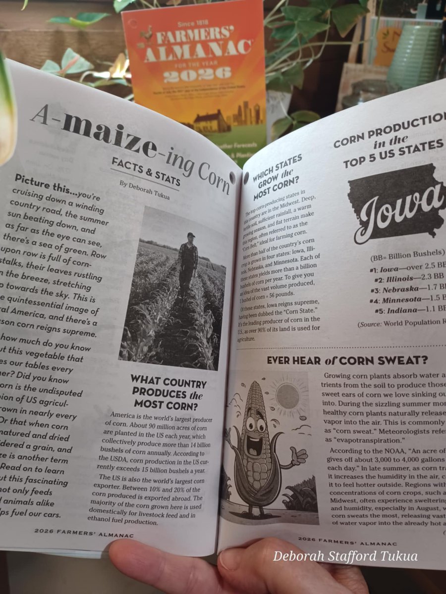 Corn is so A-maize-ing! You'll discover fascinating facts and helpful hints in the NEW 2026 Farmers' Almanac, on sale now. For more info. visit, deborahstukua.com/updates/it-s-h…
#athomeonhollycreek #farmersalmanacwriter