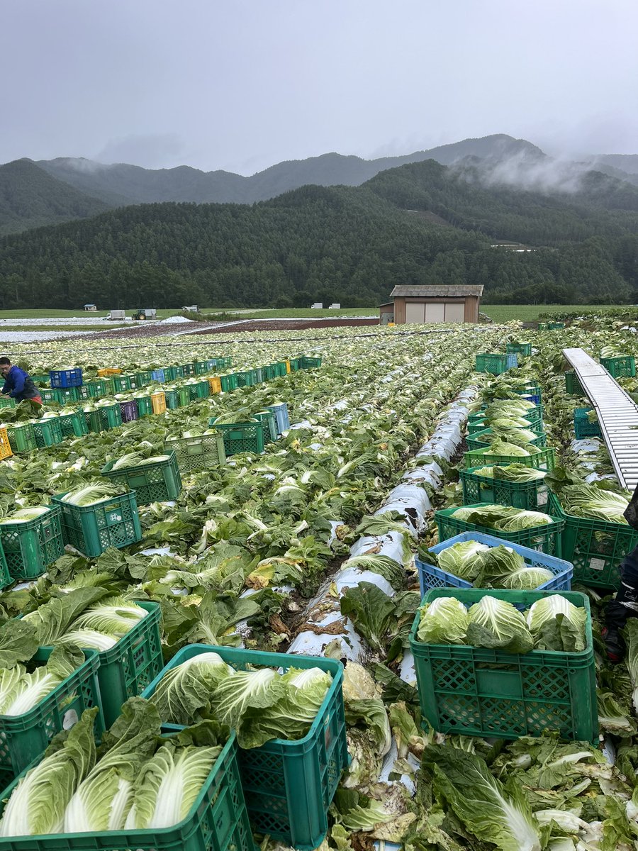 長野に出稼ぎ楽しかった〜
