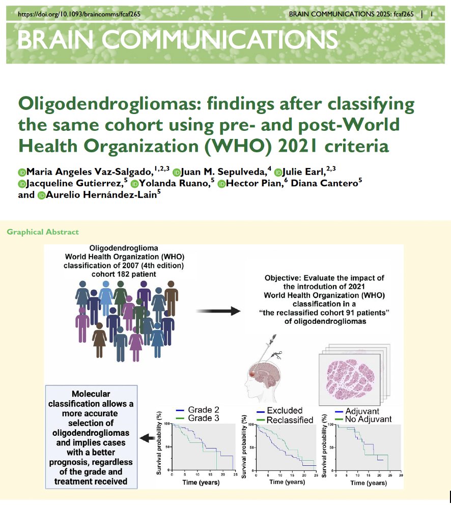 PUBLISHED! Our @BrainCommJournal study compares pre/post-#WHO2021 classification for oligodendrogliomas - with practice-changing implications #MedTwitter #NeuroOnc #BrainTumors #Oncología #TumoresCerebrales #oligodendrogliomas