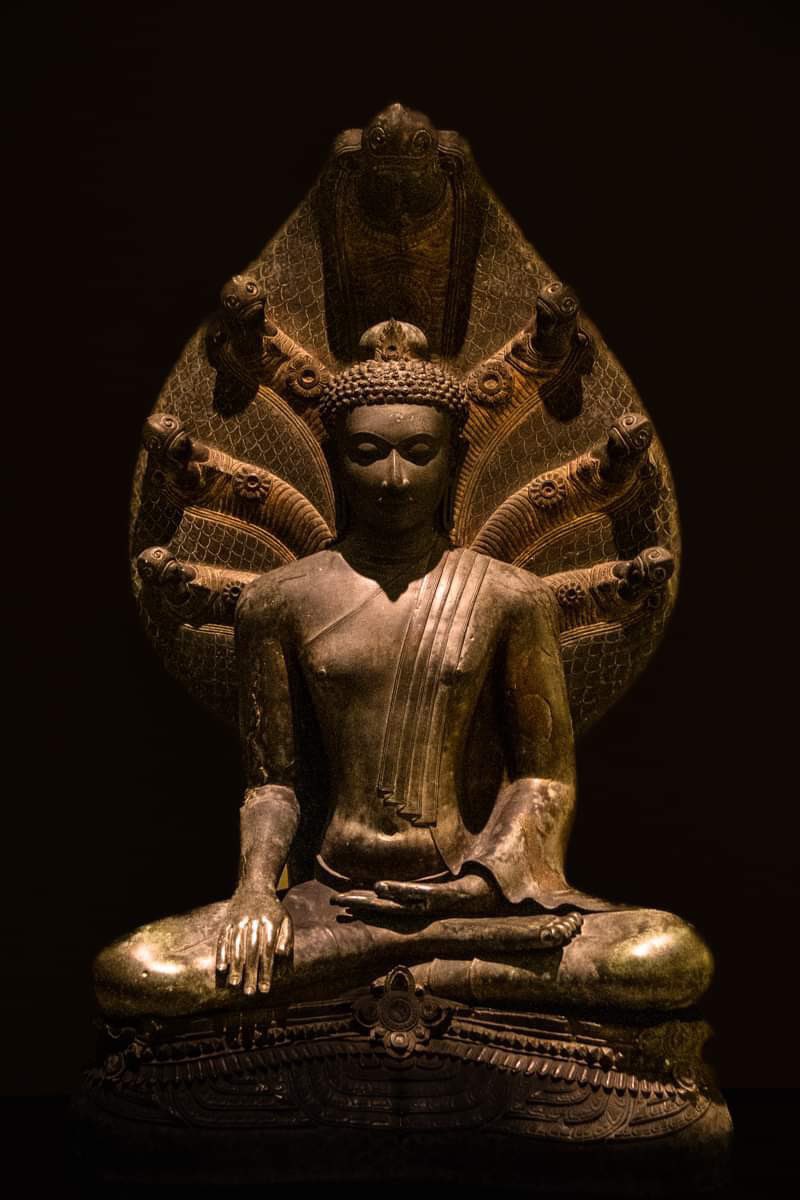 “With every breath, you have the chance to find stillness in the chaos.”