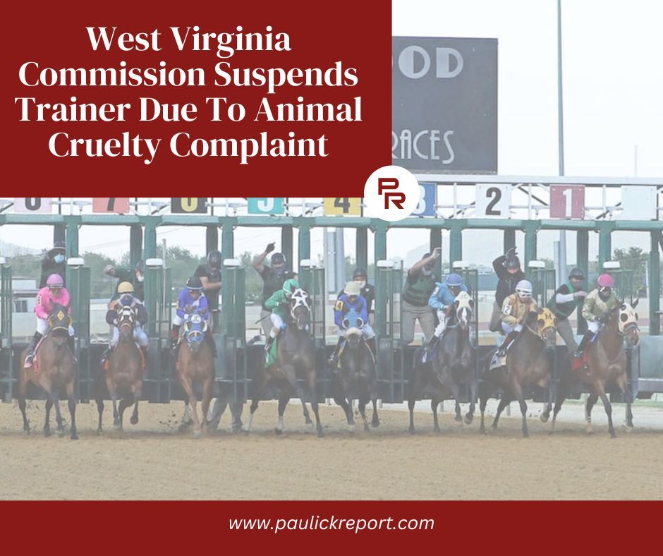 Paulick Report tweet media