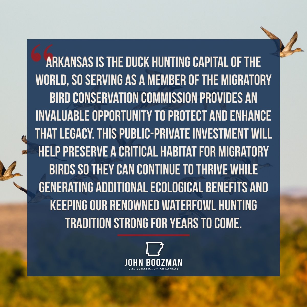 JohnBoozman's tweet photo. My Migratory Bird Conservation Commission colleagues and I approved nearly $2.1M to support the conservation and preservation of waterfowl habitat in Crittenden &amp; Desha counties that will be matched by contributions from @DucksUnlimited. https://t.co/6bPtwfekvX