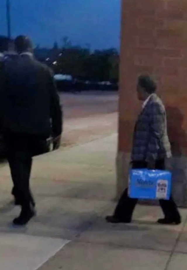 tempeh tomboy tweet media