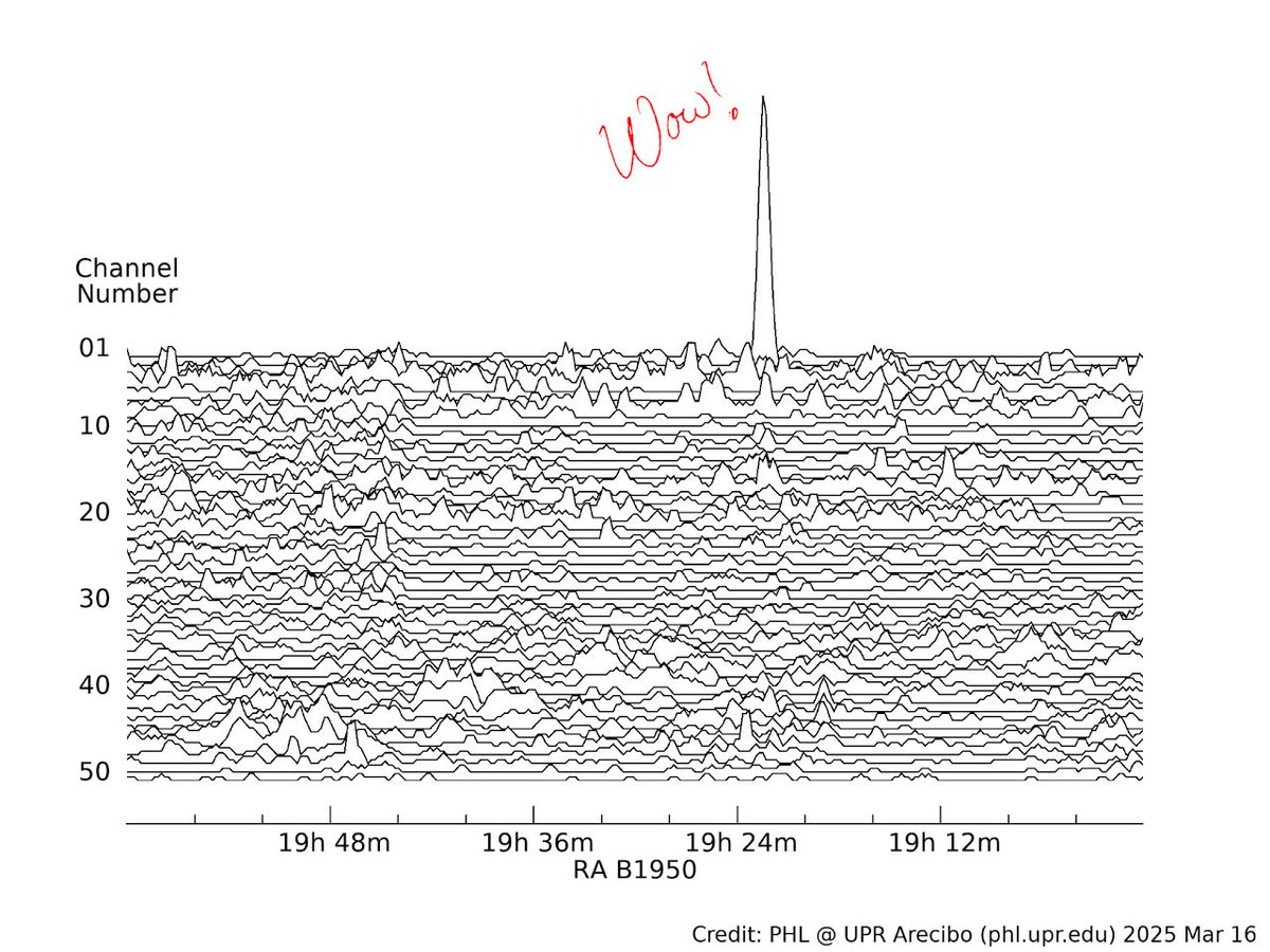 Tomorrow marks 48 years since the Wow! Signal 📡 Tonight at 8 PM EDT, we’re sharing new results here phl.upr.edu/wow #AreciboWow #Astrophysics #SETI