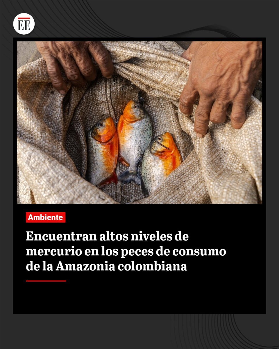 #EE | Hasta un 28% de las especies de peces de consumo presentan concentraciones de mercurio superiores a las recomendadas por la OMS.
ok.me/lieM1👈🔗