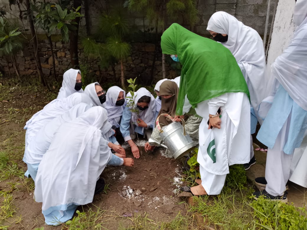 BeterPak's tweet photo. سبز پاکستان کی خوشبو میں رچا بسا آزادی کا جشن
کیا آپ نے اس سے خوبصورت اندازِ آزادی جشن کہیں دیکھا ہے؟ ہمیں بھی بتائیں!
#KPForests https://t.co/WSdVyYShH3