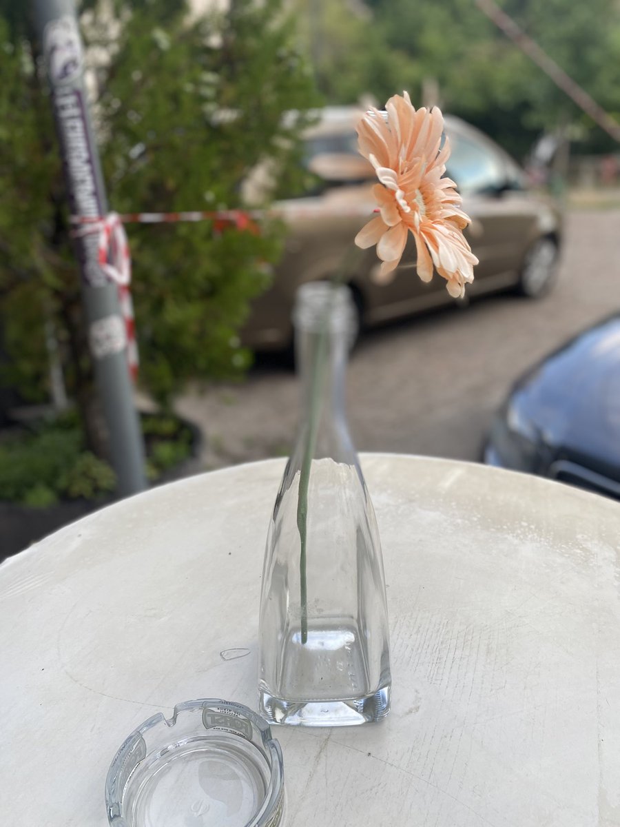 Sonia Zuccaro tweet media