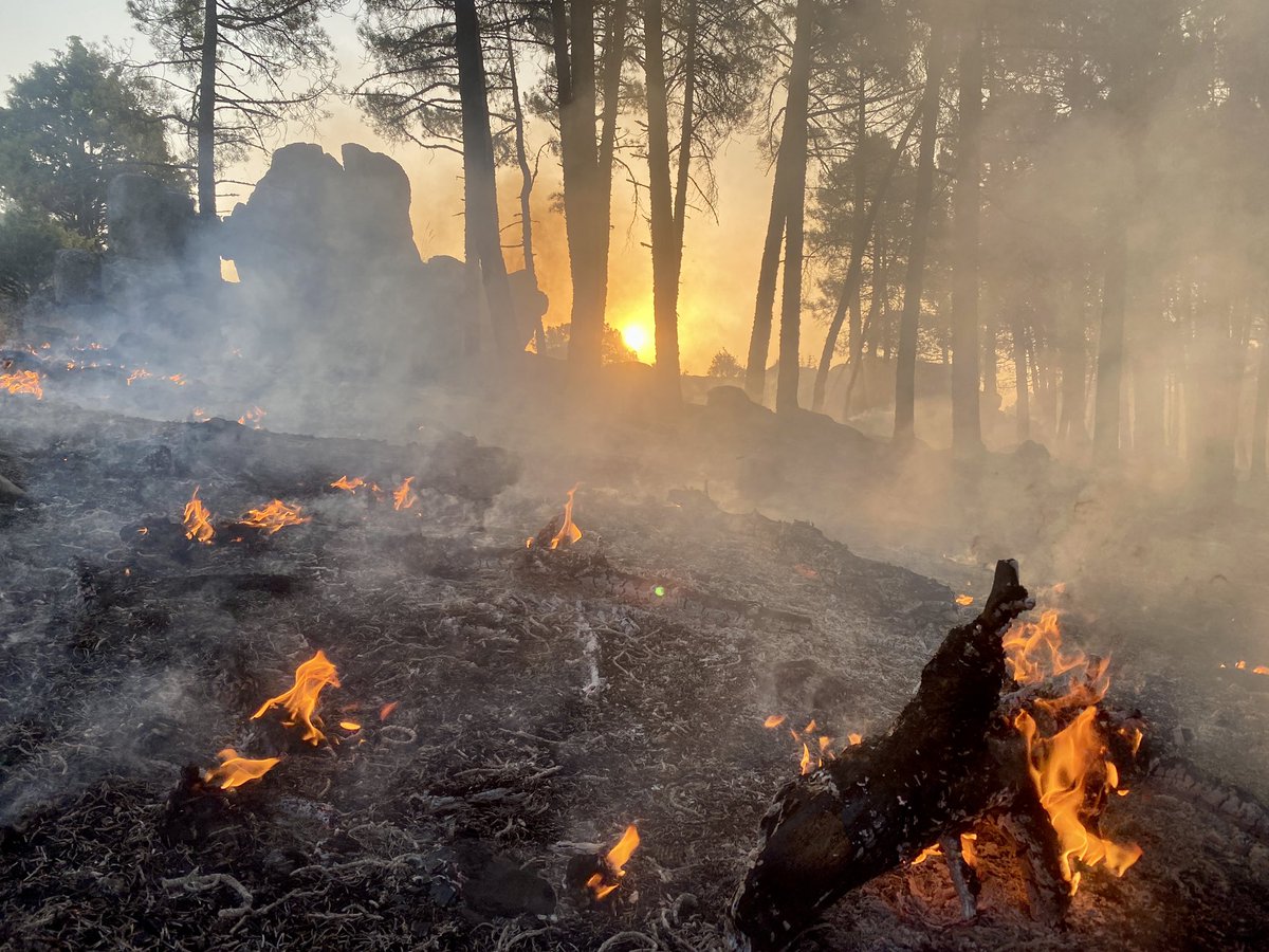 Cristian 🐺 tweet media