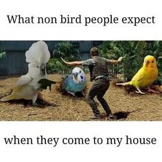 Noba and Carl: Rulers of Mankind (@katerade21) on Twitter photo 