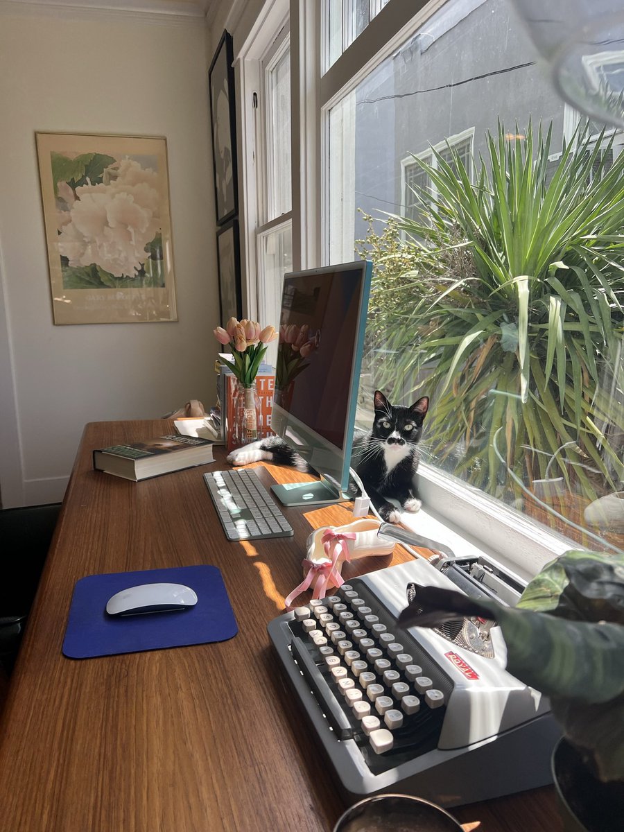 elizamclamb's tweet photo. Looking at photos of my exes has no effect on me. Photos of the perfect desk that wouldn’t fit into my NY apartment however … https://t.co/d0qdV3hsqk