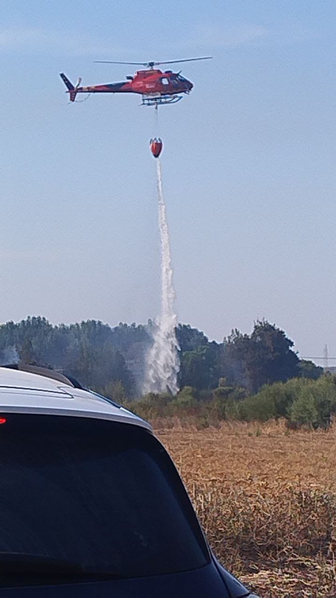 BombersdeMca's tweet image. 🚨 Incendi agrícola a Manacor
Avís 17:40 h.
⚠️ Evacuats alguns veïnats com a mesura preventiva i no hi ha persones ferides.
👩‍🚒 Actuant els parcs de #Manacor i #Felanitx, l’@ibanat_IB i l’helicòpter 🚁 Sa Milana — primera intervenció dels Bombers de Mallorca amb aquest mitjà.