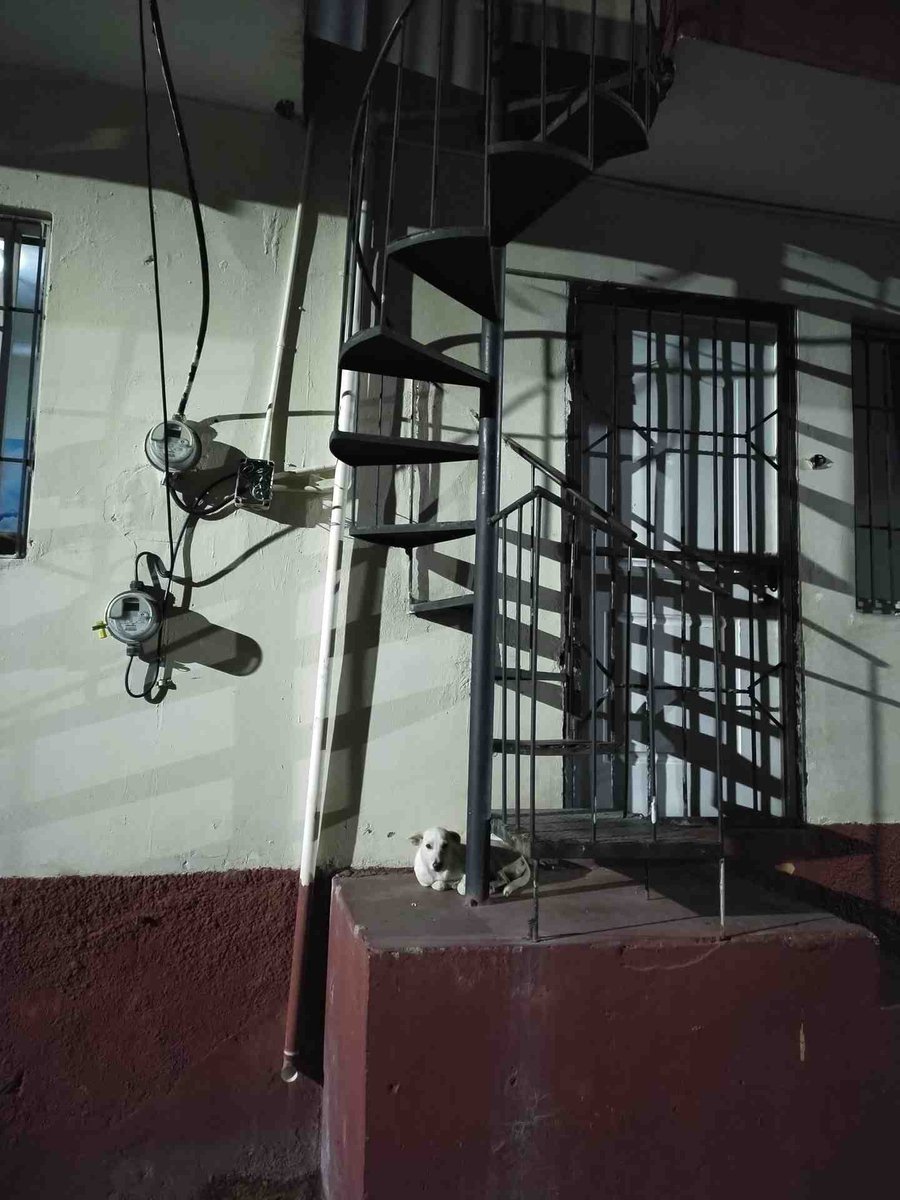 itprohelper's tweet image. Hola! I put together a mini Linux text-filter examples using a data.csv file. You can grab it from my site here
itprohelper.com/10-practical-l…
#linux #Text #terminal #commandline #devops #sysadmin #Automate #code #ithandyman #coffee #redhat #ubuntu #fedora