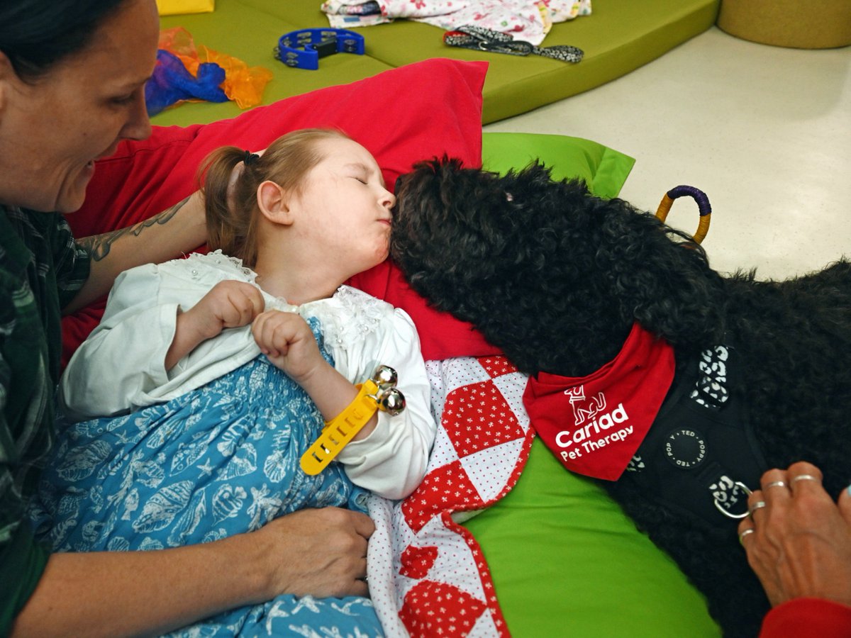 Tŷ Hafan (@tyhafan) on Twitter photo A cheeky moment from our recent Stay ’N’ Play, with therapy dog Idris stealing a kiss from Savanah-Bleu 💚
<a href="/CariadPet/">Cŵn Cymorth Cariad / Cariad Pet Therapy</a> 🐶 A cheeky moment from our recent Stay ’N’ Play, with therapy dog Idris stealing a kiss from Savanah-Bleu 💚
<a href="/CariadPet/">Cŵn Cymorth Cariad / Cariad Pet Therapy</a> 🐶