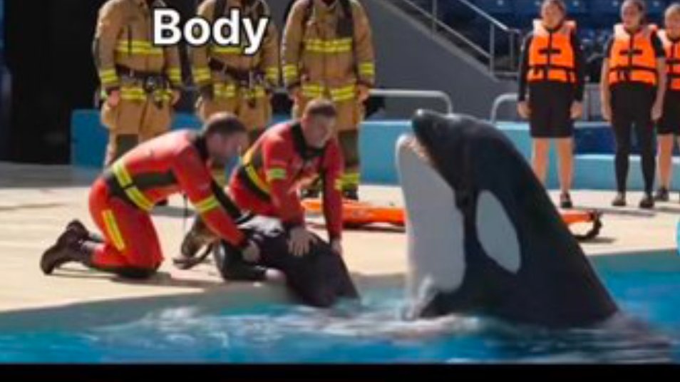  X sEx poRN  on X: "Found Full Original Video Orca Trainer Jessica Radcliffe Is Attacked by a whale | Shocking Accident Caught on Camera Jessica Radcliffe Accident full video #jessicaradcliffe #