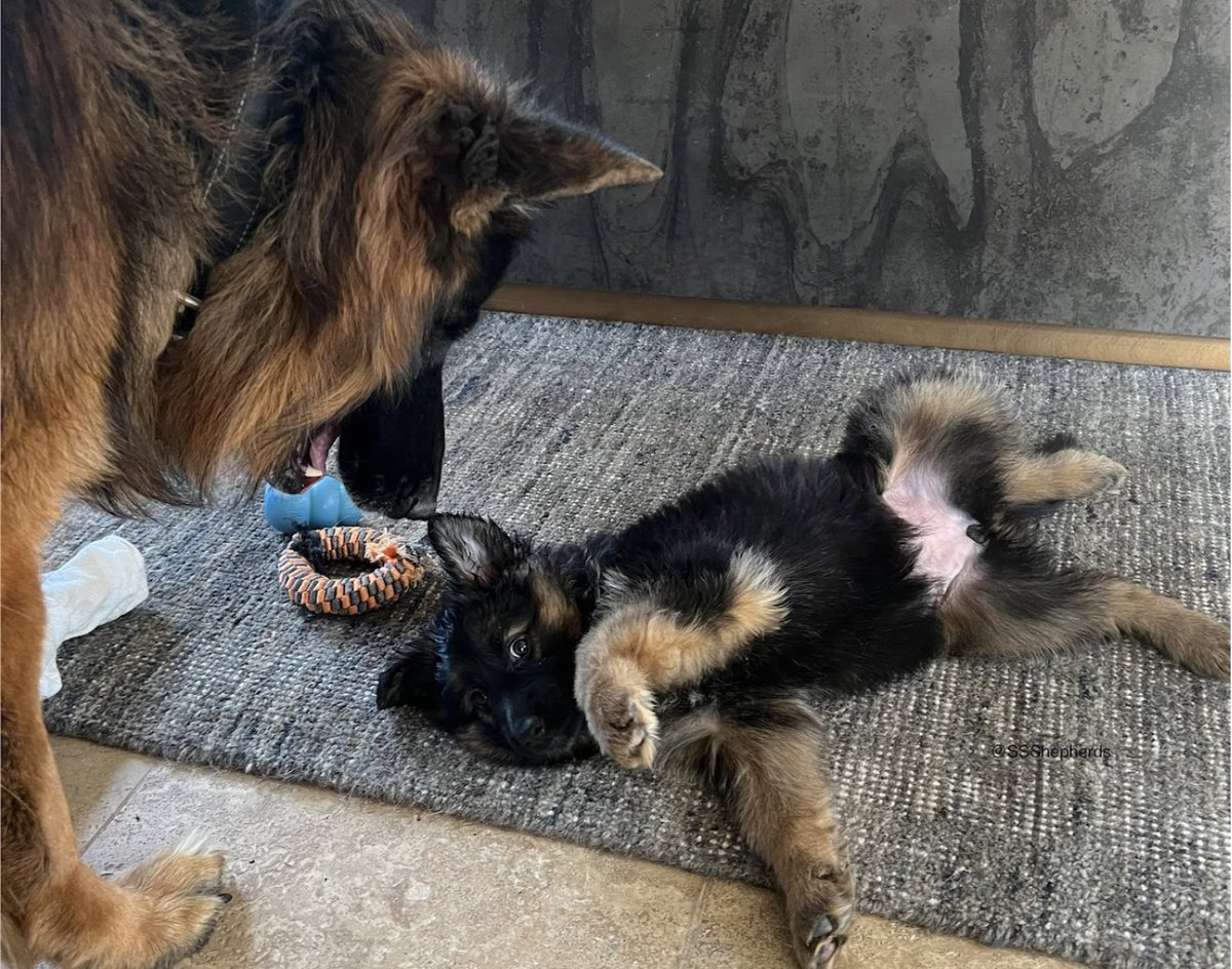 Early days play session here… hope you’re all having a happy #ThrowbackThursday; the weekend is on its way!