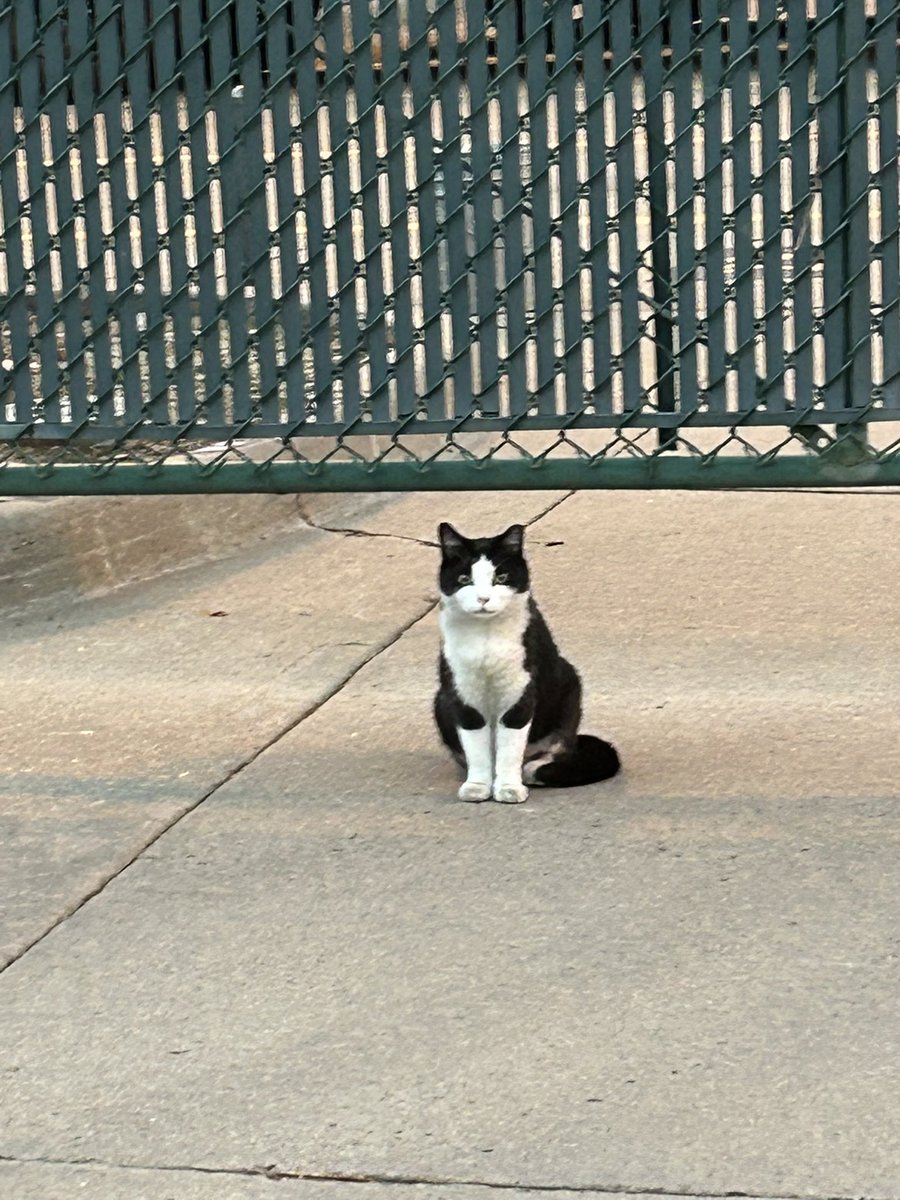 Guess who was spotted hanging out near the player parking lot…