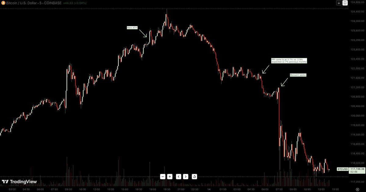 Steven Ellis tweet media