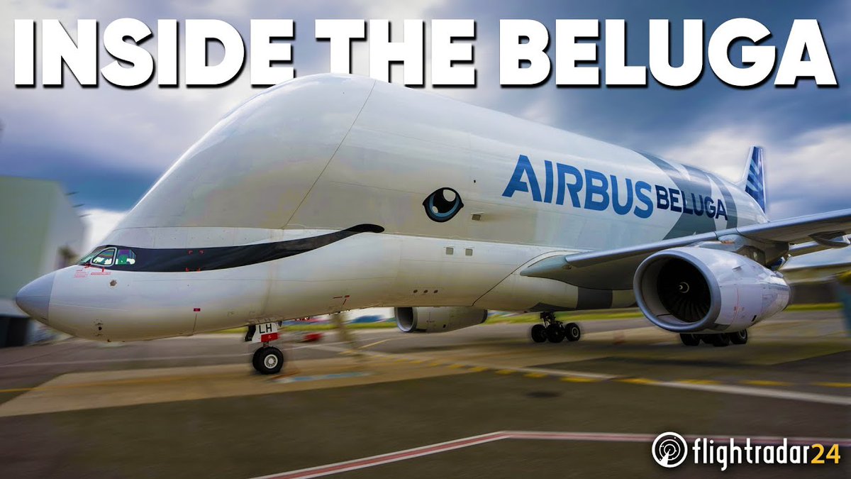 flightradar24's tweet image. Want to see how the #BelugaXL is loaded and unloaded? We visited Airbus for a behind the scenes look at the transporter’s operations: youtube.com/watch?v=thlBA0…
