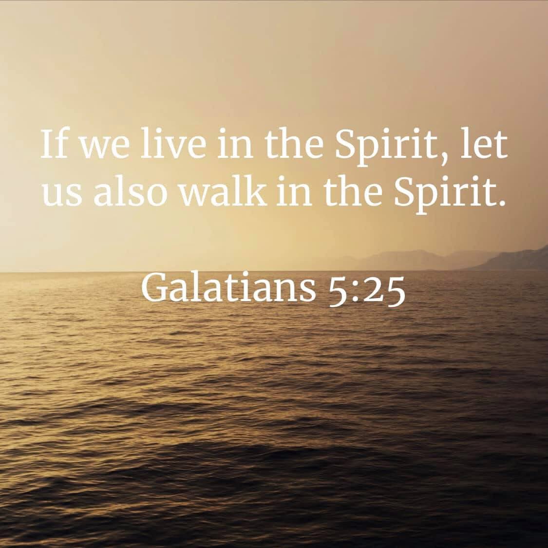 Fr. Theo ☦️ (@papatheogoc) on Twitter photo 