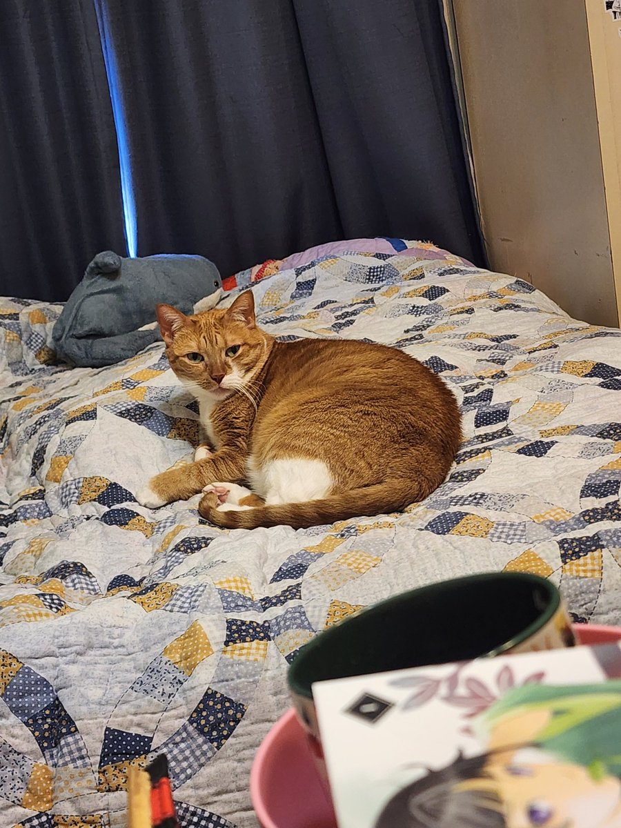 Yuo wake dis Cheese? For why???