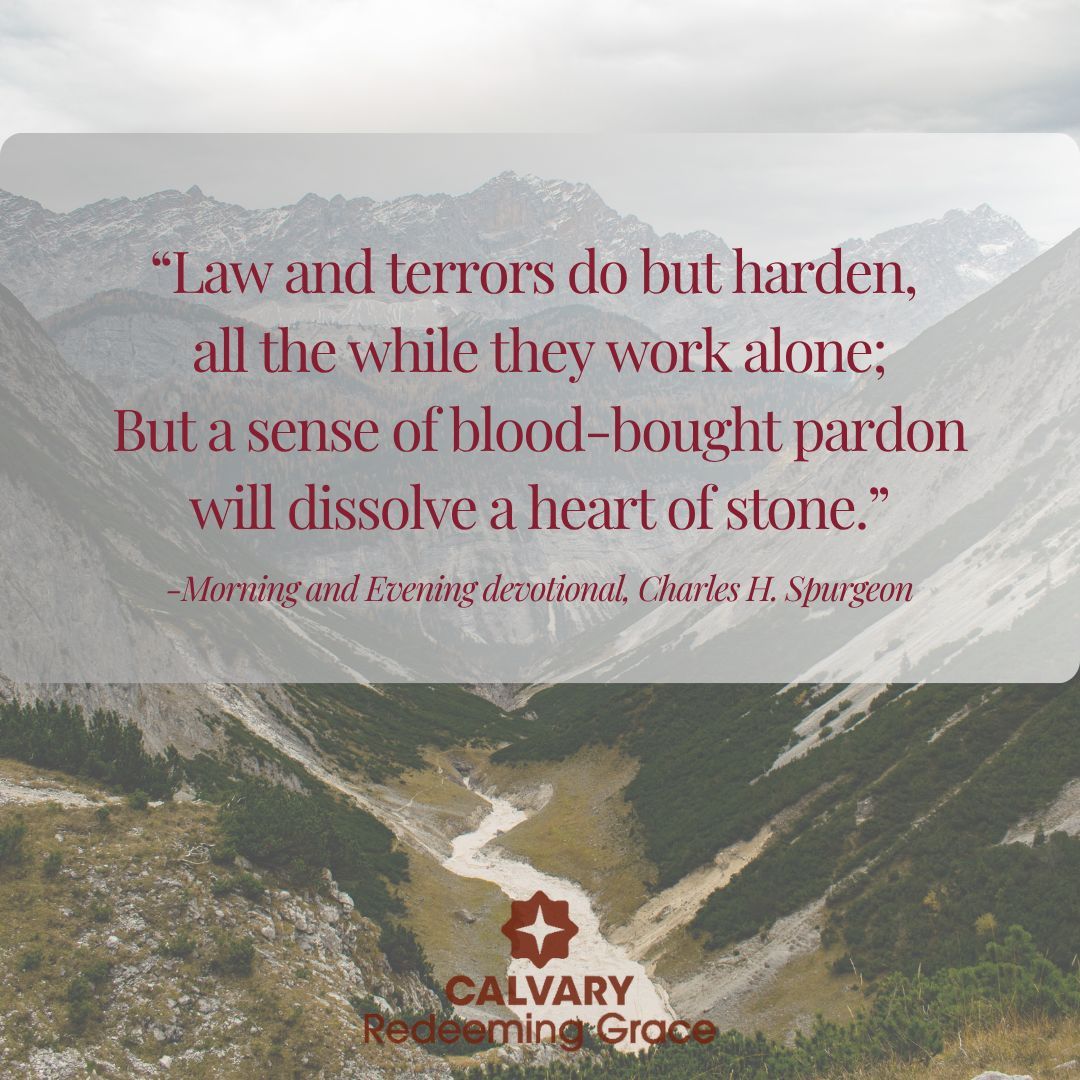 RGChurch_CO's tweet photo. For by works of the law no human being will be justified in his sight, since through the law comes knowledge of sin.
Romans 3:8 https://t.co/cYdMN0GNE6