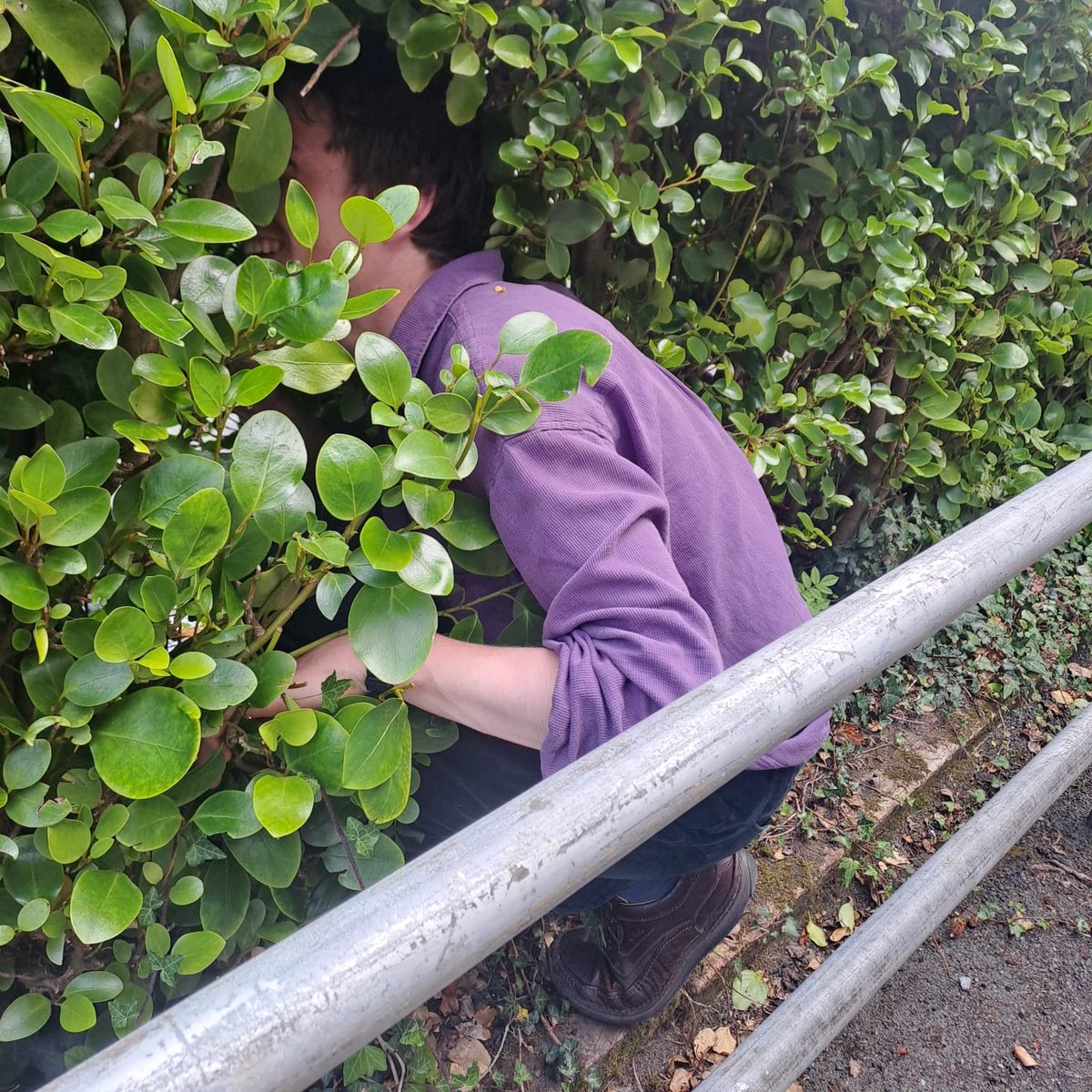 The EcoWeek Trust tweet media