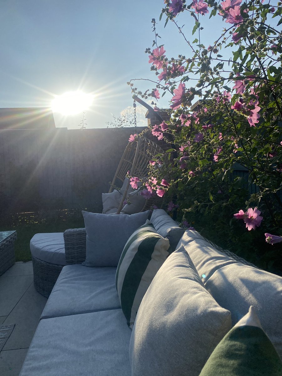 Carl Horner tweet media