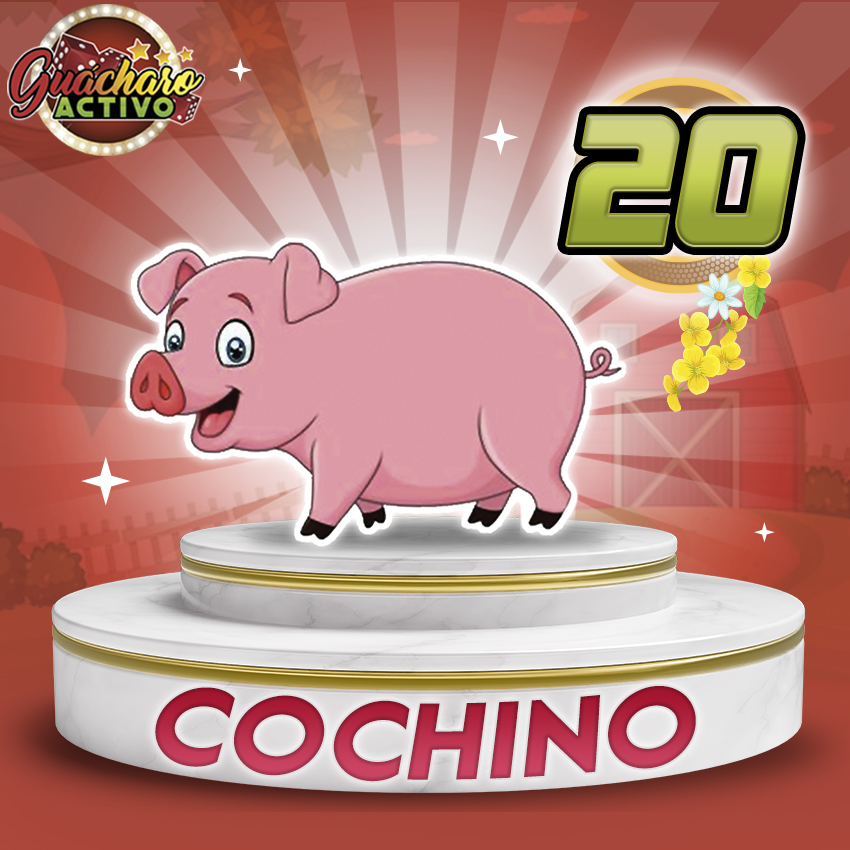 ¡El animalito millonario ya está aquí! 🐾✨

📅 Hoy es: Jueves, 14 Ago 2025
⏰ Hora del sorteo: 02:00 PM
🥇 El animalito ganador: 20 Cochino

💪 ¿Le pegaste al resultado o vas por la revancha? ¡Escribe tu reacción aquí! 🔢
