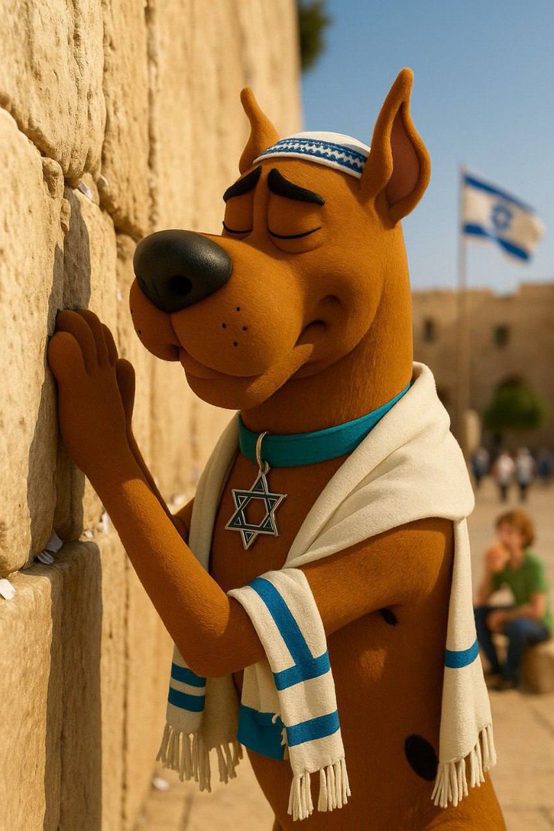 ScoobyJewIsrael's tweet photo. @kolscan If she can’t pay half the rent I don’t want her https://t.co/y5cU4eeixf