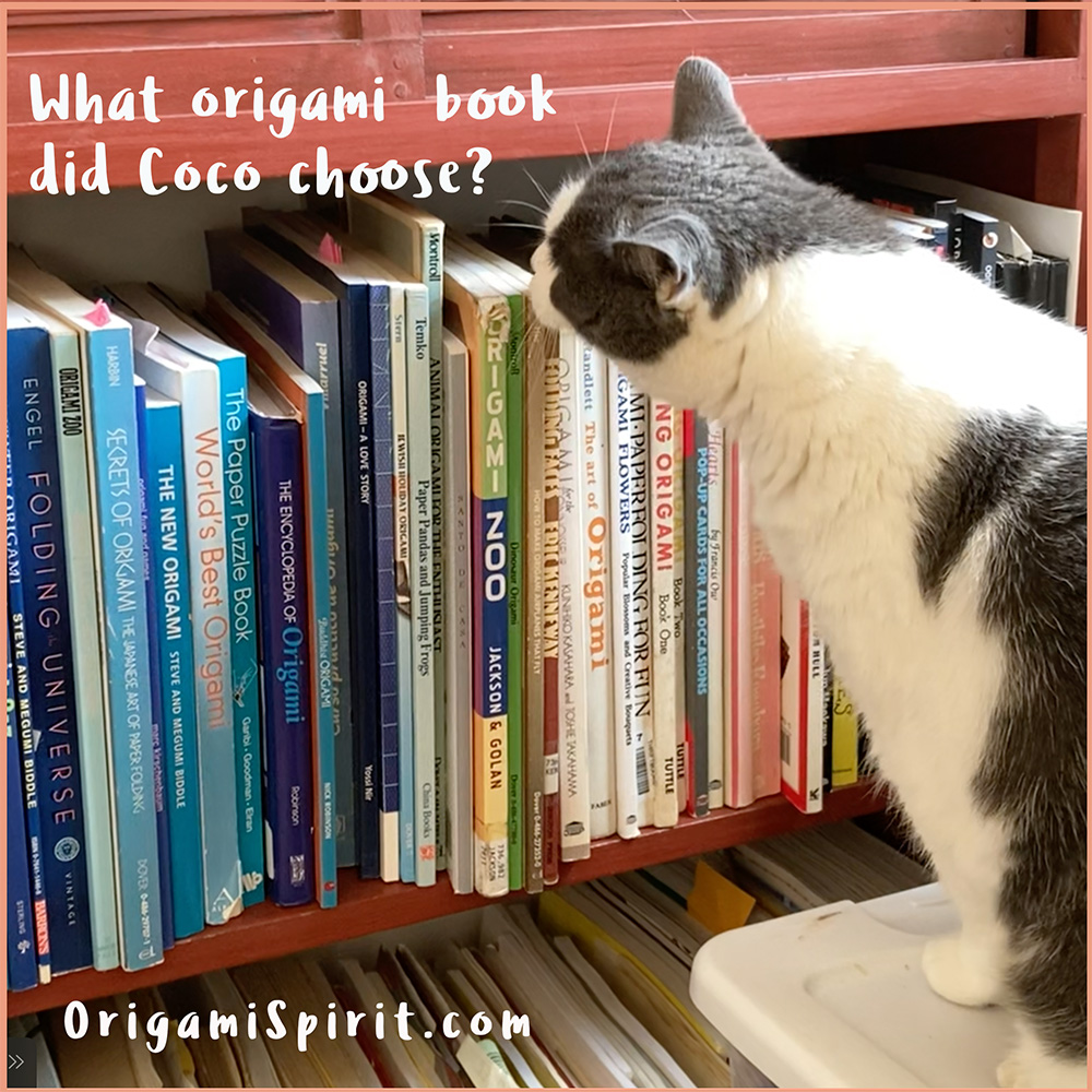 OrigamiSpirit tweet picture