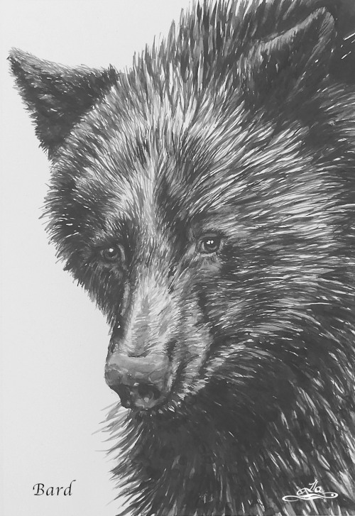 IlaFrance's tweet photo. https://t.co/xYc6PQUVHh
Interview about the #book The Five Star Bears, a true story showing how bears fleeing forest fires are treated in Canada. It calls for people to recognise the lies of the hunting lobby through accounts of 15 bears. #BearsAreCool #ReadABook #TheAuthorsShow https://t.co/Ug8S5bkUHd