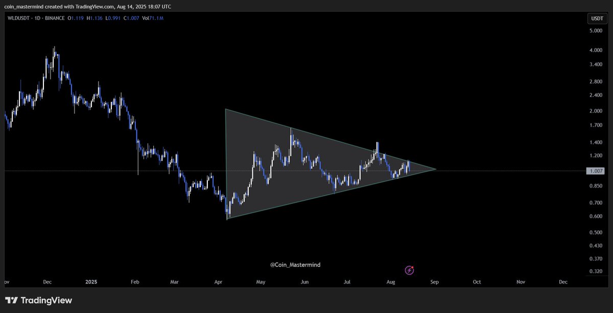 $WLD approaching critical support!

📆 Daily TF: Price is moving within a symmetrical triangle and is now approaching the support zone 🛡️

A hold here could trigger a bounce, while a breakdown might extend the decline ⚠️

👀 Keep an eye for a decisive move!

#WLD
