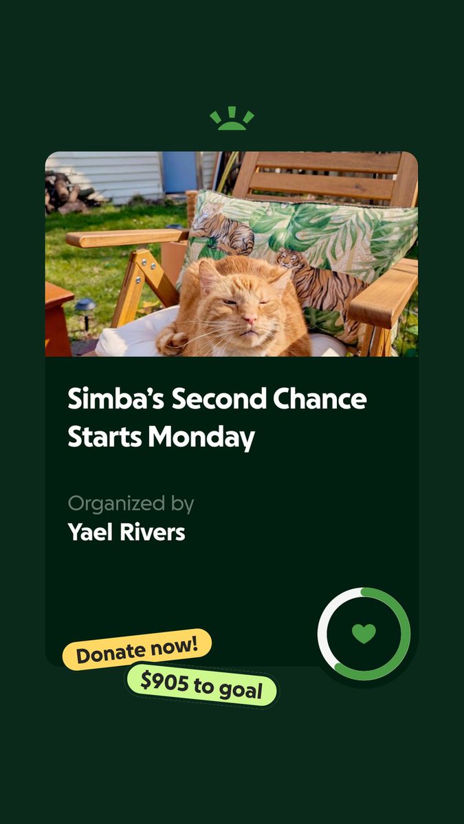 yaelywaely's tweet photo. Simba urgently needs a CT scan, please consider sharing this so we can start this journey with him ❤️

 https://t.co/tVEDRpNJlF

#fundraising #gofundme #CatsOfTwitter #cats https://t.co/9rFYOhJYMA