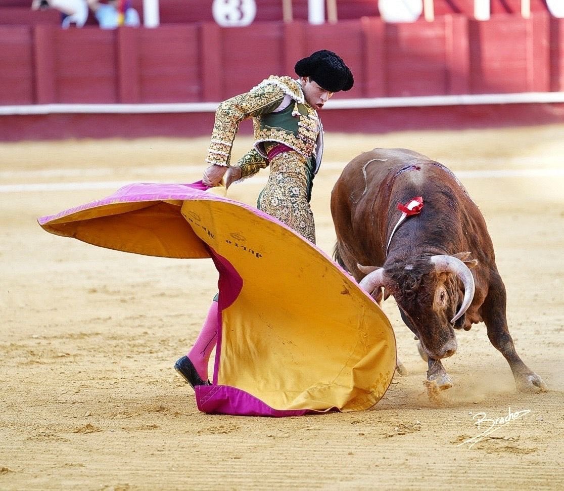 Lances de Futuro tweet media