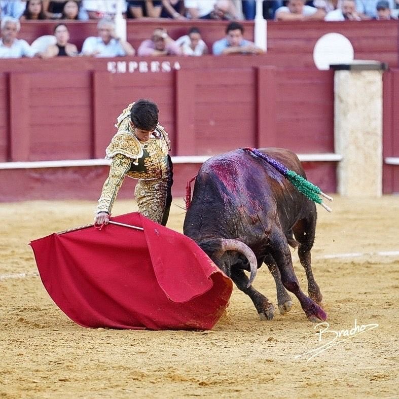 Lances de Futuro tweet media