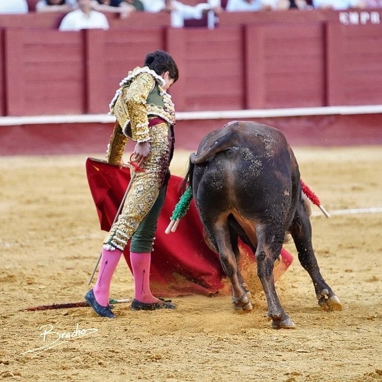 Lances de Futuro tweet media