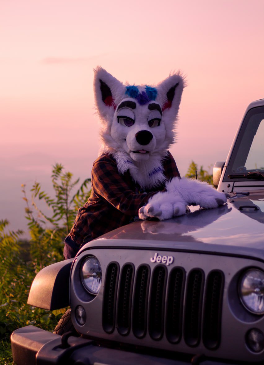 roguewolfshadow's tweet photo. 31, happily with @Santazadala 
Rocking the dad vibes 24/7.
Also drive a Joop

📸 @Santazadala https://t.co/xDTnr56IYi