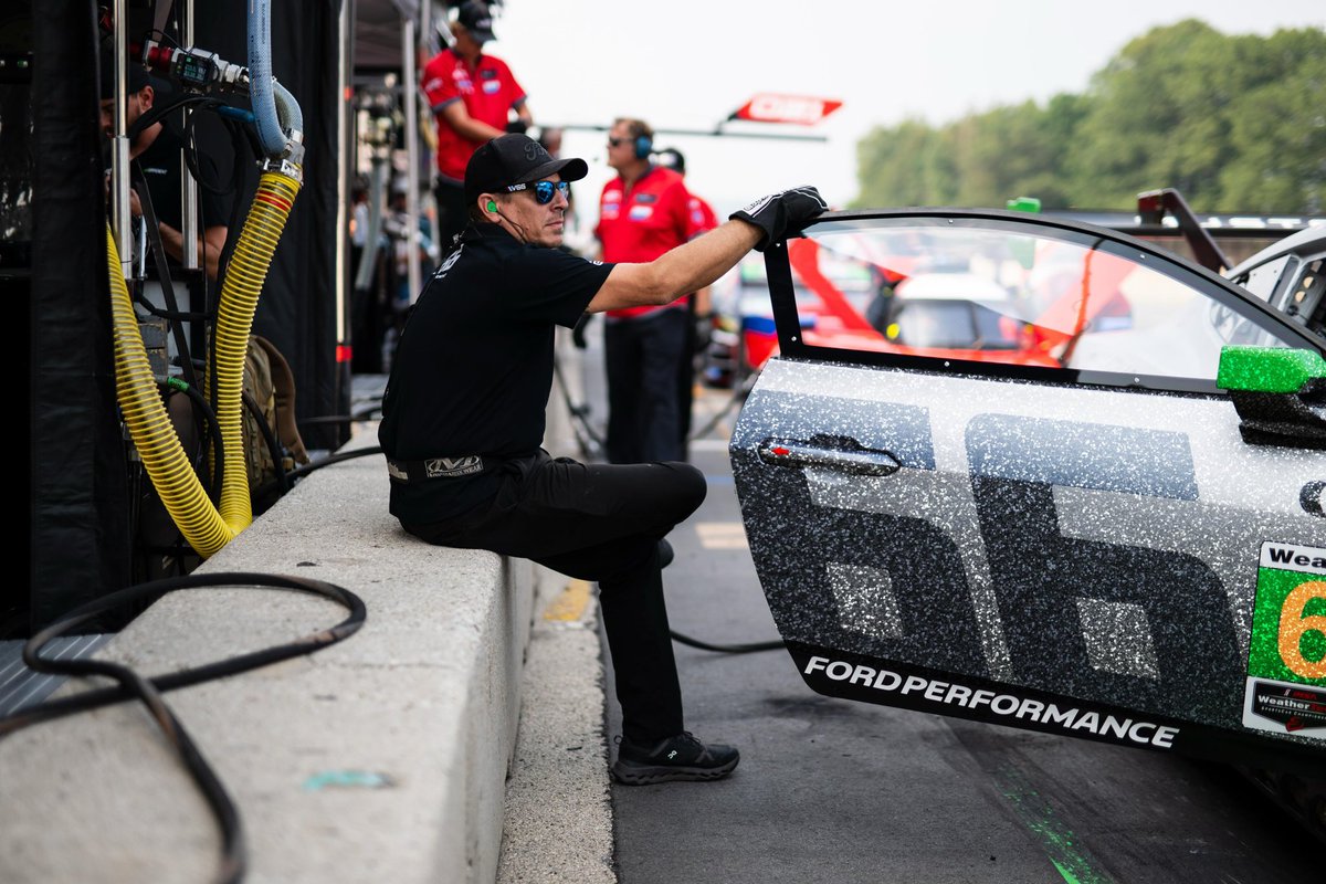 The Life of a Mustang ❤️‍🔥