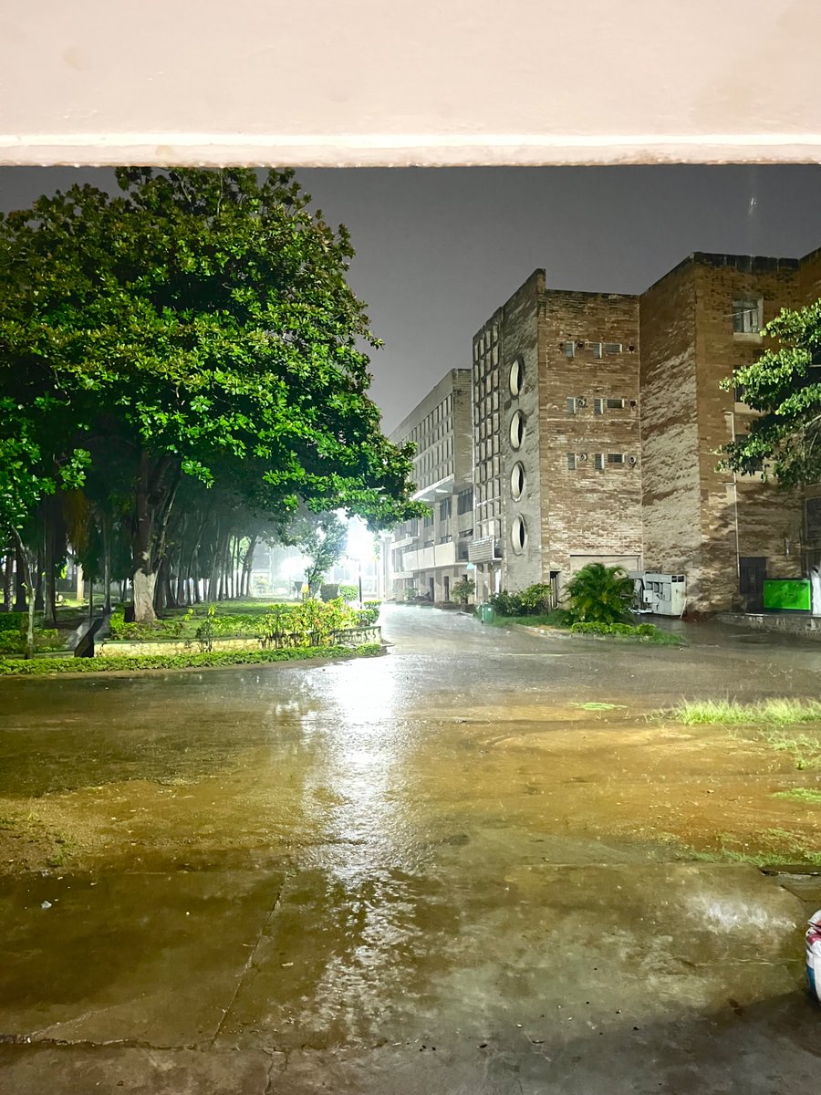 "August rain: the best of the summer gone, and the new fall not yet born. The odd uneven time."

Sylvia Plath
