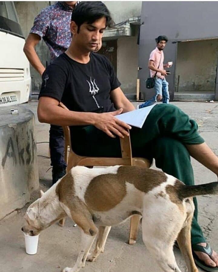 Lets Be Like Sushant

Who loved all, even the stray animals! Where is justice for such a kind &amp; compassionate person? 

<a href="/CBIHeadquarters/">Central Bureau of Investigation (India)</a> <a href="/narcoticsbureau/">NCB INDIA</a> <a href="/dir_ed/">ED</a> <a href="/Dev_Fadnavis/">Devendra Fadnavis</a> <a href="/PMOIndia/">PMO India</a> 

PC: Owner