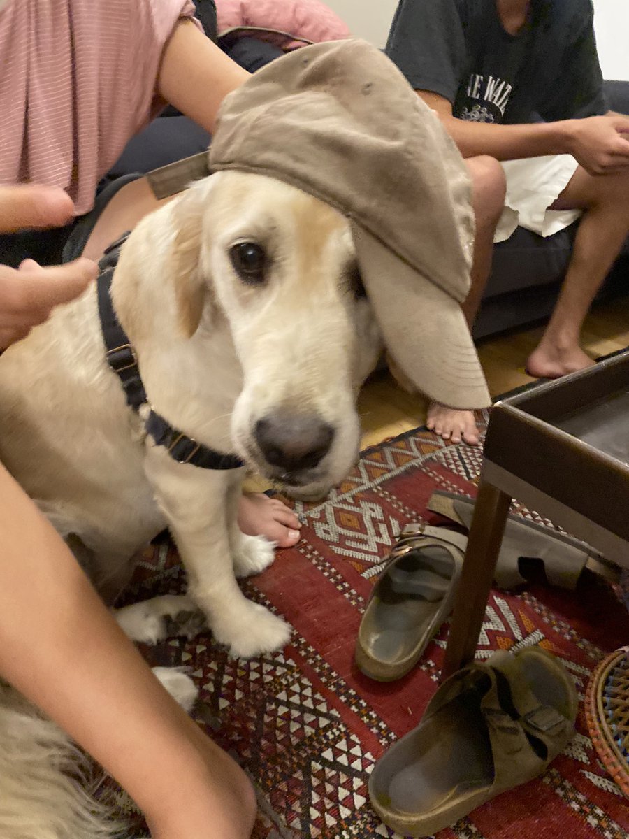 וולו יורש העצר8 tweet media