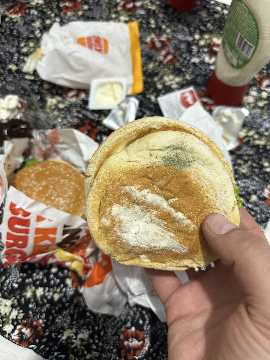 1econometrician's tweet photo. @BurgerKingTR @GetirYemek @tabgidakurumsal küflü ekmekler çok güzel olmuş 🤢 ücret iadesi yaptınız ama bu rezilliğinizi değiştirmez. @denetlecomtr https://t.co/TfHnnSpqVi